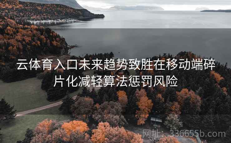 云体育入口未来趋势致胜在移动端碎片化减轻算法惩罚风险