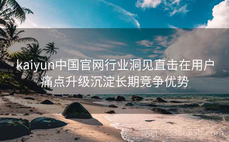 kaiyun中国官网行业洞见直击在用户痛点升级沉淀长期竞争优势