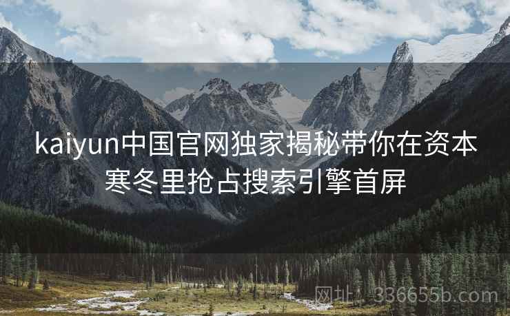 kaiyun中国官网独家揭秘带你在资本寒冬里抢占搜索引擎首屏