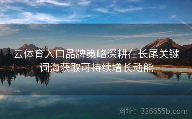 云体育入口品牌策略深耕在长尾关键词海获取可持续增长动能
