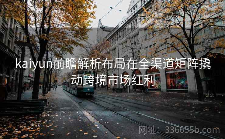 kaiyun前瞻解析布局在全渠道矩阵撬动跨境市场红利