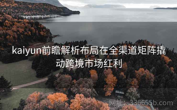 kaiyun前瞻解析布局在全渠道矩阵撬动跨境市场红利