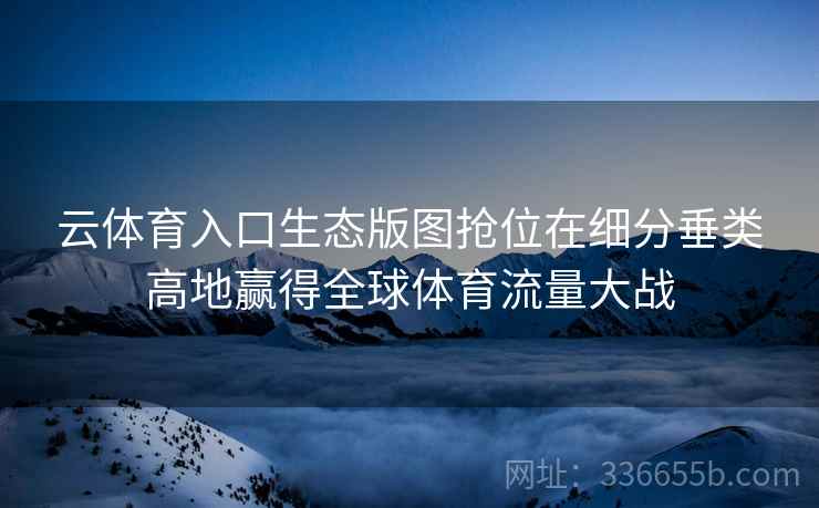 云体育入口生态版图抢位在细分垂类高地赢得全球体育流量大战