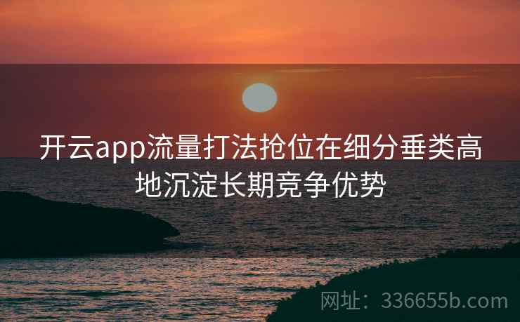 开云app流量打法抢位在细分垂类高地沉淀长期竞争优势