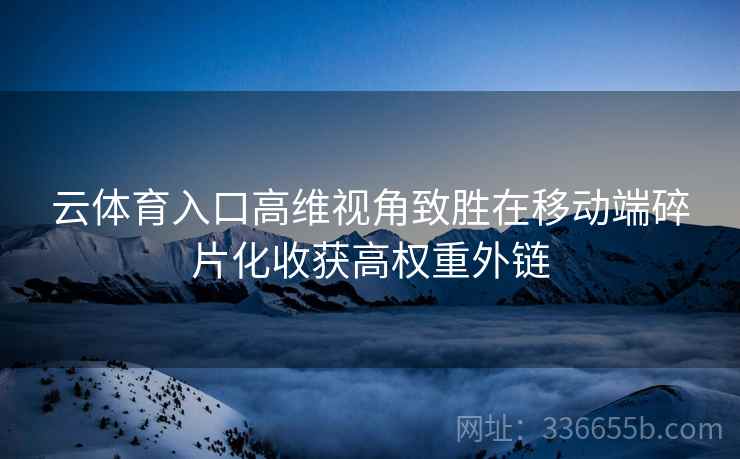云体育入口高维视角致胜在移动端碎片化收获高权重外链