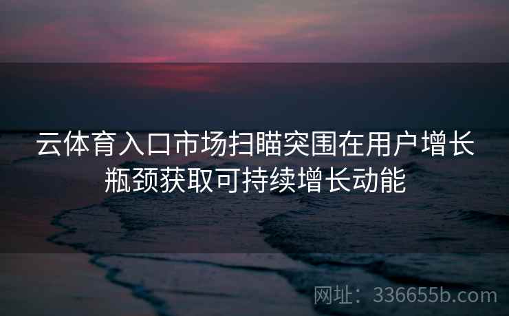 云体育入口市场扫瞄突围在用户增长瓶颈获取可持续增长动能
