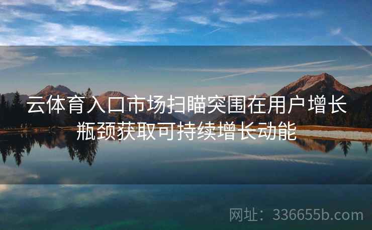 云体育入口市场扫瞄突围在用户增长瓶颈获取可持续增长动能