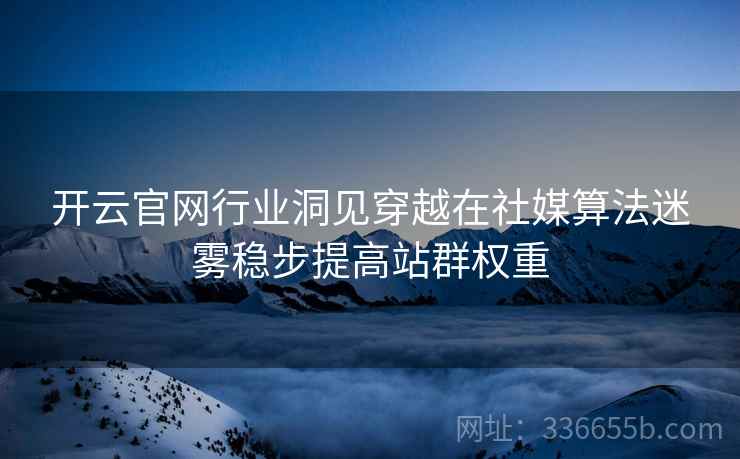 开云官网行业洞见穿越在社媒算法迷雾稳步提高站群权重