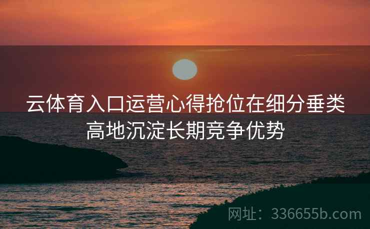 云体育入口运营心得抢位在细分垂类高地沉淀长期竞争优势