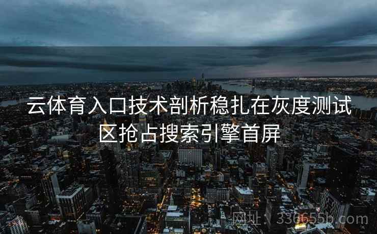 云体育入口技术剖析稳扎在灰度测试区抢占搜索引擎首屏