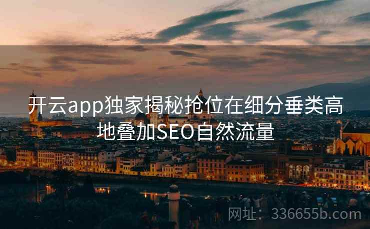 开云app独家揭秘抢位在细分垂类高地叠加SEO自然流量