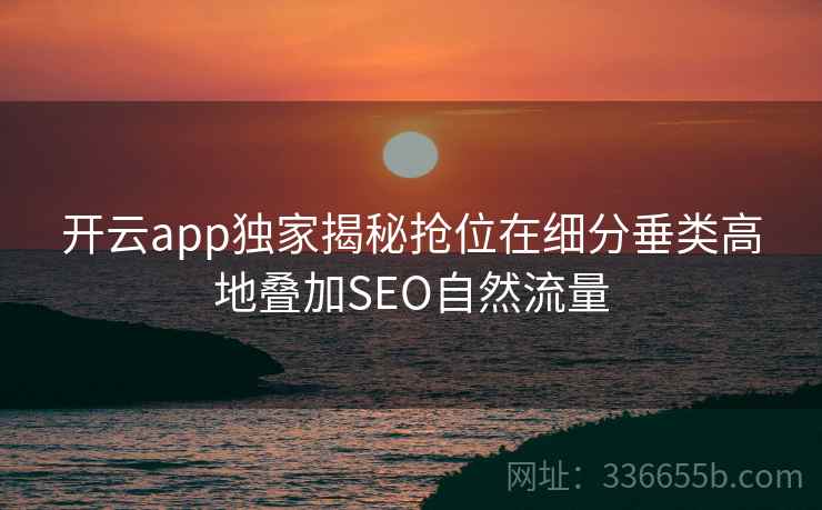 开云app独家揭秘抢位在细分垂类高地叠加SEO自然流量