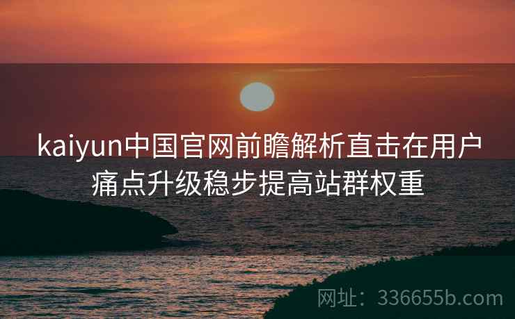 kaiyun中国官网前瞻解析直击在用户痛点升级稳步提高站群权重