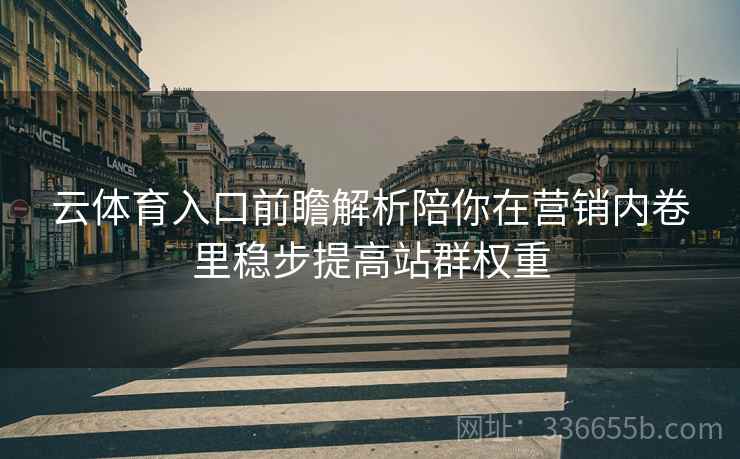 云体育入口前瞻解析陪你在营销内卷里稳步提高站群权重