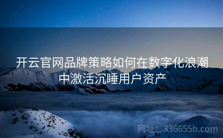 开云官网品牌策略如何在数字化浪潮中激活沉睡用户资产